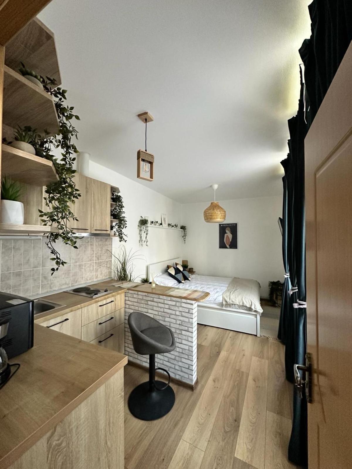Zen Studio Braşov Exterior foto